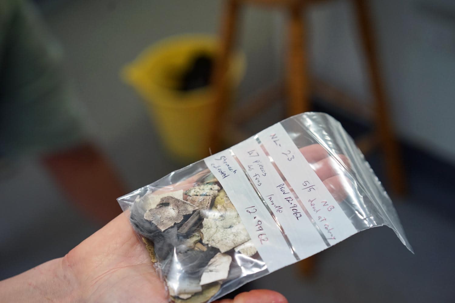 Pieces of plastic from dead bird's stomach